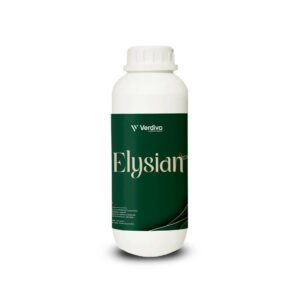 ELYSIAN