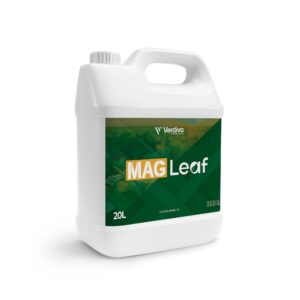 MAG LEAF