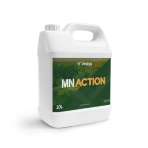 MN ACTION